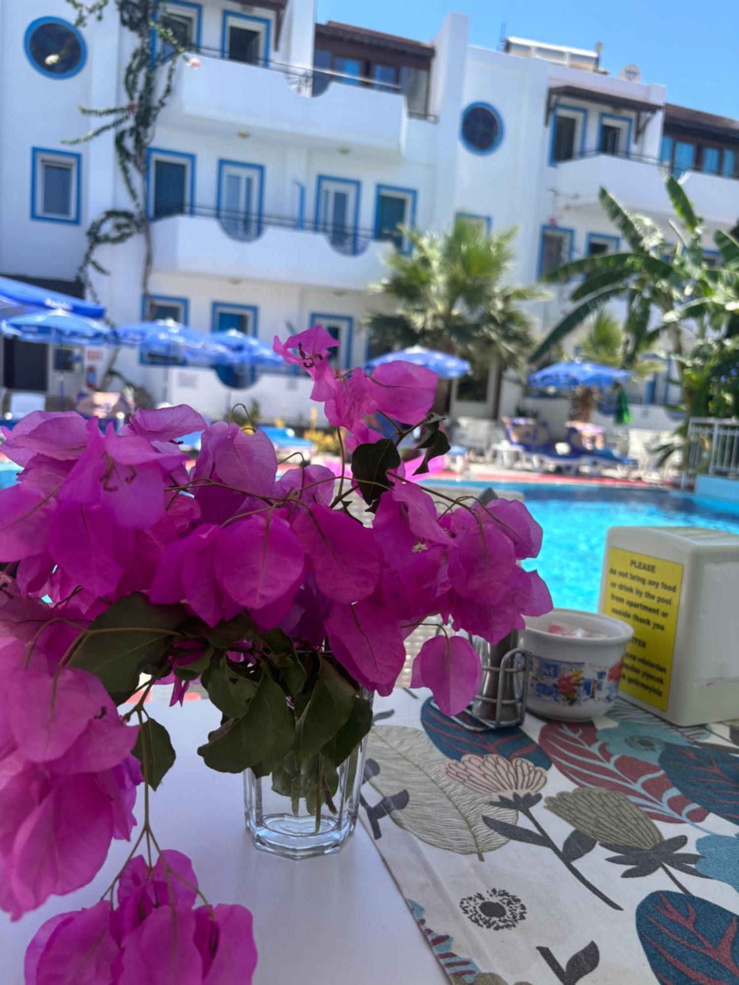Palmiye Apart Otel Αλικαρνασσός Εξωτερικό φωτογραφία
